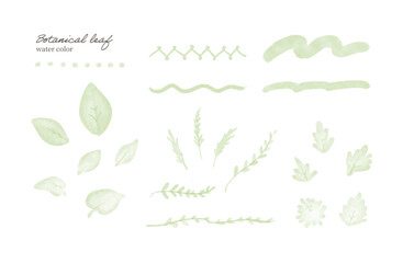 水彩ボタニカルリーフ＆ラインセット – パステルグリーン