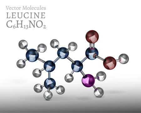 3D vector illustration of leucine molecule structure.