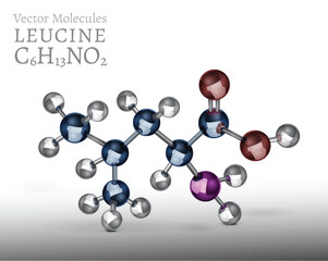 3D vector illustration of leucine molecule structure.