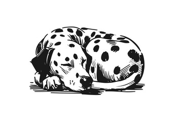 Dalmatian Dog Hand Drawn Illustration Sketch Vector Isolated by AZ for Books, Arts, Design and Decoration Graphic Asset
