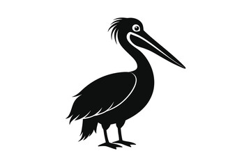 pelican bird silhouette vector on white background