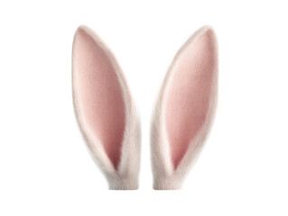 Adorable fluffy white rabbit ears isolated on 3d pet fur cute soft hair on transparent background