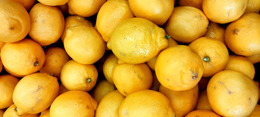 新鮮なレモンのクローズアップ写真
