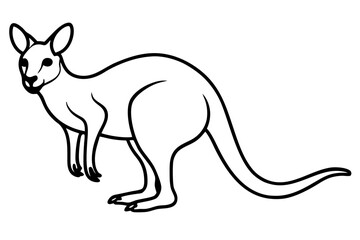 Kangaroo One-Line Sketch