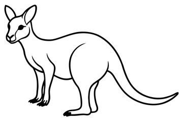 Kangaroo One-Line Sketch