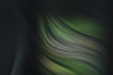 Close up of a black shirt with a world vegan day graphic with vegetables and plants on it