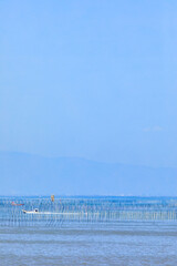 春の有明海　のり養殖　佐賀県太良町　Ariake Sea in Spring. Nori farming. Saga...