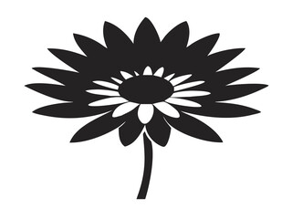 Obraz premium Aster Blossom Illustration for Botanical Flower Art, Garden Bloom Graphics, Floral Line Sketch