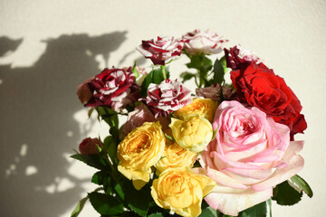 カラフルなばら