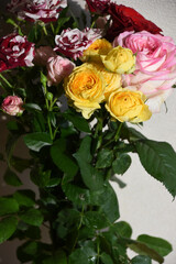 カラフルなばら