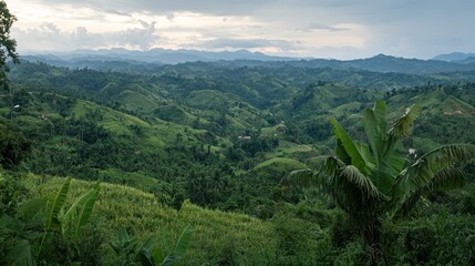 Lush green hills and valleys under a cloudy sky, showcasing natural beauty and tranquility.