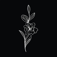 Elegant Single Line Drawing of a Flower on Black Background