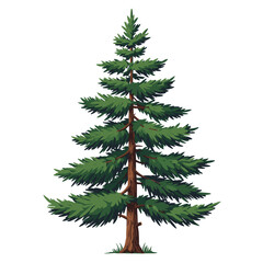 Fototapeta premium evergreen tree illustration on a white background 