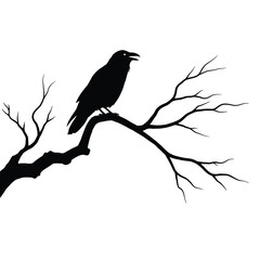 crow on a branch