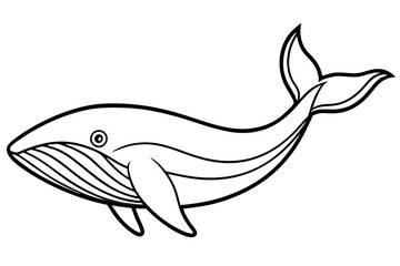 Fototapeta premium Minimalist Whale Vector