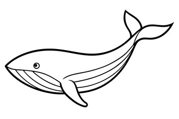 Minimalist Whale Vector
