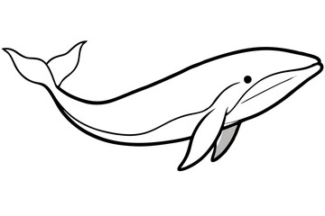 Obraz premium Minimalist Whale Vector