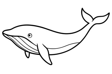 Minimalist Whale Vector