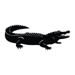 Fototapeta premium Black and white cocodile vector illustration with reptile features on a white background