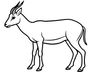 Modern Saiga Antelope Art