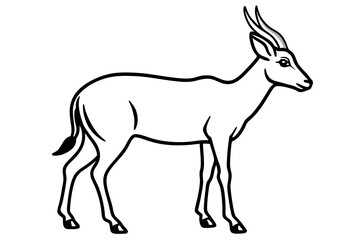 Modern Saiga Antelope Art