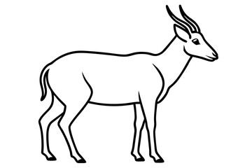 Modern Saiga Antelope Art