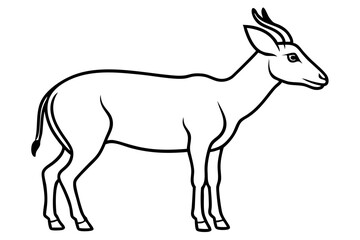 Modern Saiga Antelope Art