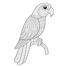 Intricate Parrot Line Drawing for Coloring