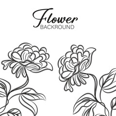 Elegant Black and White Flower Background Illustration