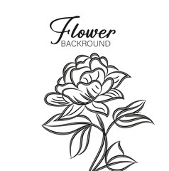 Obraz premium Elegant Black and White Line Art Flower Background Illustration