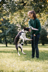 Woman teenager playing outdoors with dog with toy, frisbee disk. Sunny day in the forest.