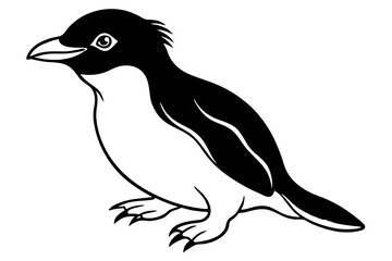 Penguin Outline Vector