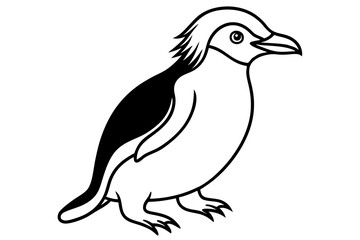 Penguin Outline Vector