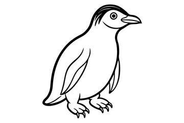 Penguin Outline Vector