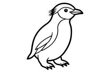 Penguin Outline Vector