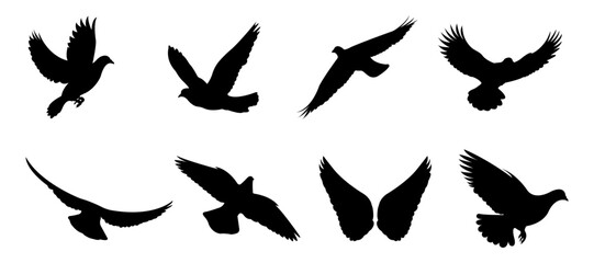 Obraz premium Flying Pigeon Silhouette Vector Set in Multiple Wing Positions
