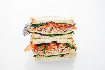 Fresh Tuna Sandwich with Veggies and Cheese Light and Tasty Meal for Any Time
