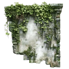 jungle vines growing over ancient stone wall isolated on transparent background © Imam Lutfi