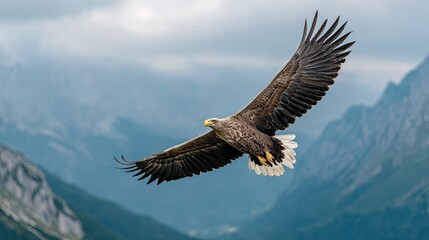 Majestic eagle soaring over mountain landscape with cloudy sky backdrop