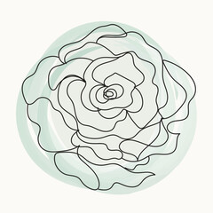 Abstract Minimalist Line Art Rose Flower on Soft Green Background