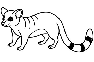 Ringtail Outline