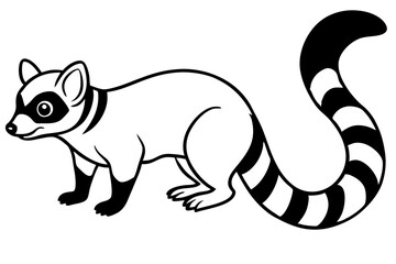 Ringtail Outline