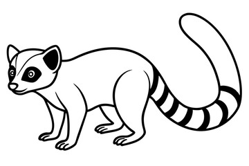 Ringtail Outline