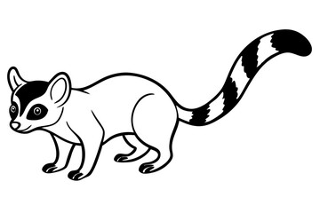 Ringtail Outline