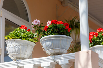 Three white flower pots with red flowers on a balcony