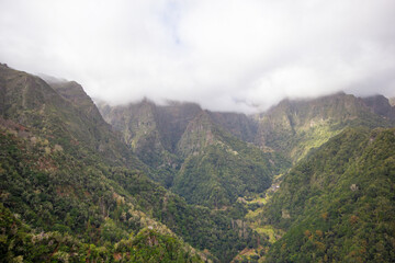 Naklejka premium The fog in the mountains .