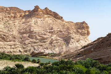 Fototapeta premium Wüstenlandschaft mit Oase wadi sinaq Oman
