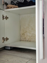 Mold and Dampness on Interior Walls and Cabinets – Moisture Damage in Home Environment