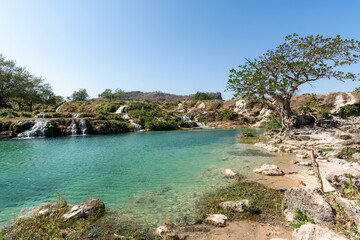 Türkisfarbener See mit Kaskaden und Baum in felsiger Landschaft Oman wadi darbat