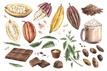 Cocoa beans whole and cut in different shades, green leaves and flowers, chocolate and candy, cocoa powder, mug with cocoa and marshmallows. Watercolor set on chocolate theme, for design packaging.